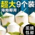 【招代理】海南椰子耶青4-9个装支持各大平台电商一件代发