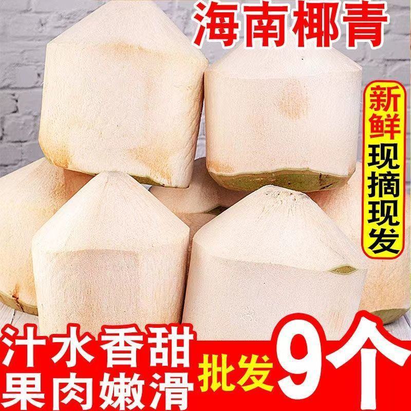 【招代理】海南椰子耶青4-9个装支持各大平台电商一件代发