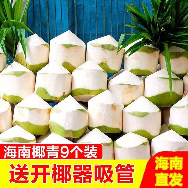 【招代理】海南椰子耶青4-9个装支持各大平台电商一件代发