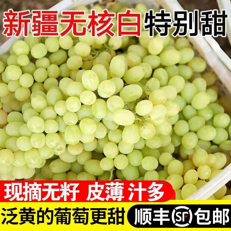 【包邮包赔】新疆吐鲁番无核白葡萄，一件代发！