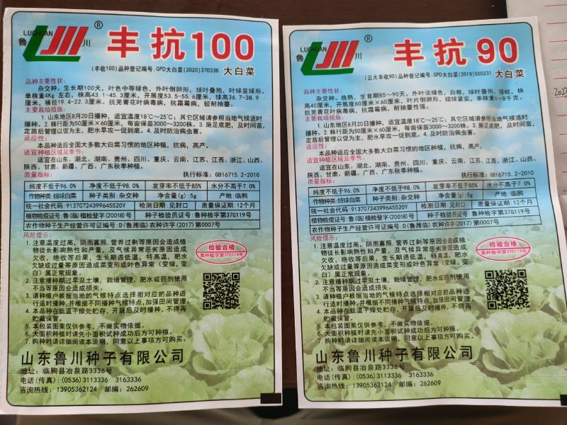 丰抗80丰抗90白菜种子秋白菜种子大白菜种子批发