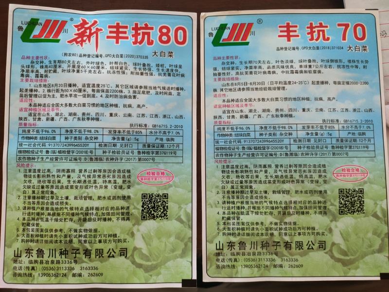 丰抗80丰抗90白菜种子秋白菜种子大白菜种子批发