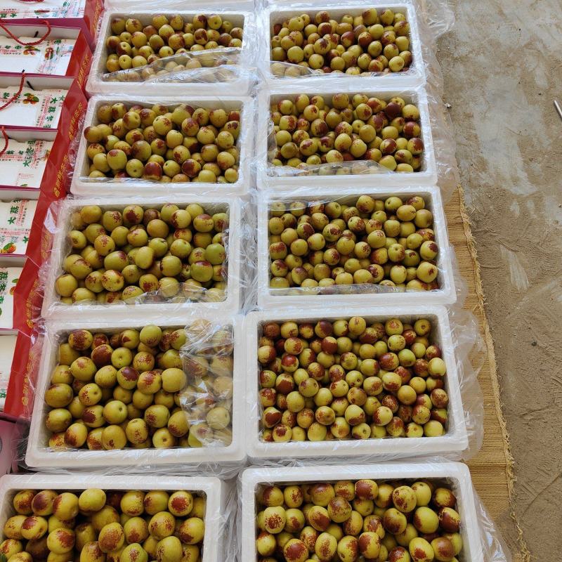 大荔冬枣