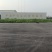 牛大力,产地直发,冷背药材大全,实拍现货24小时内发货