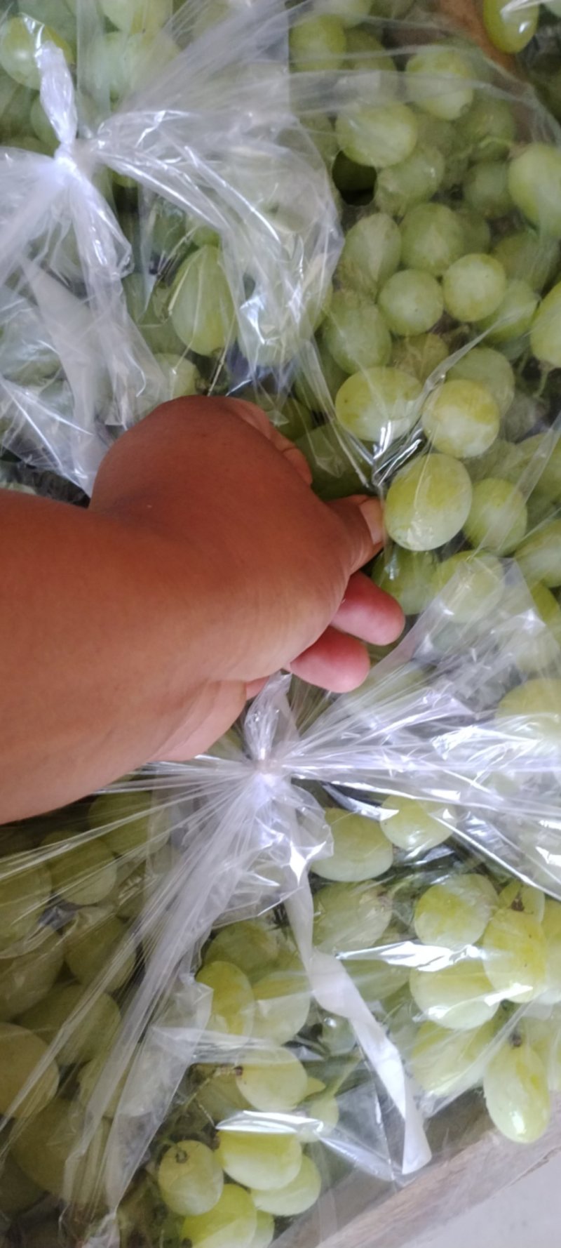精品葡萄批发