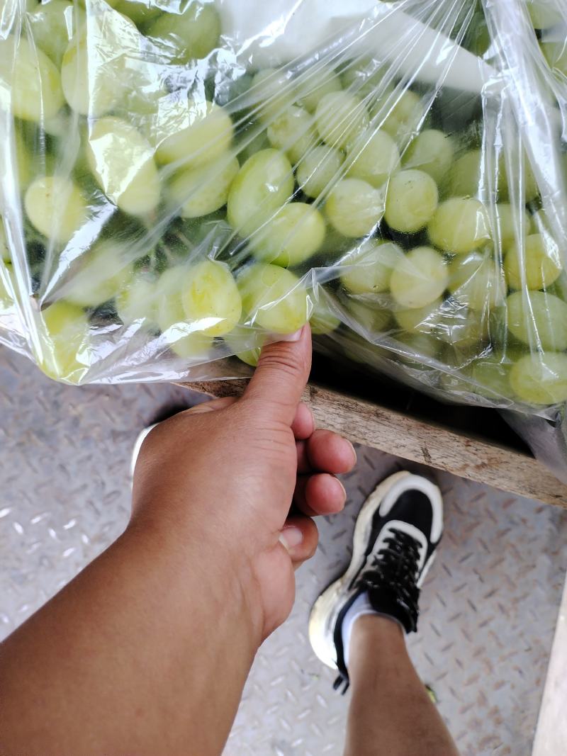精品葡萄批发