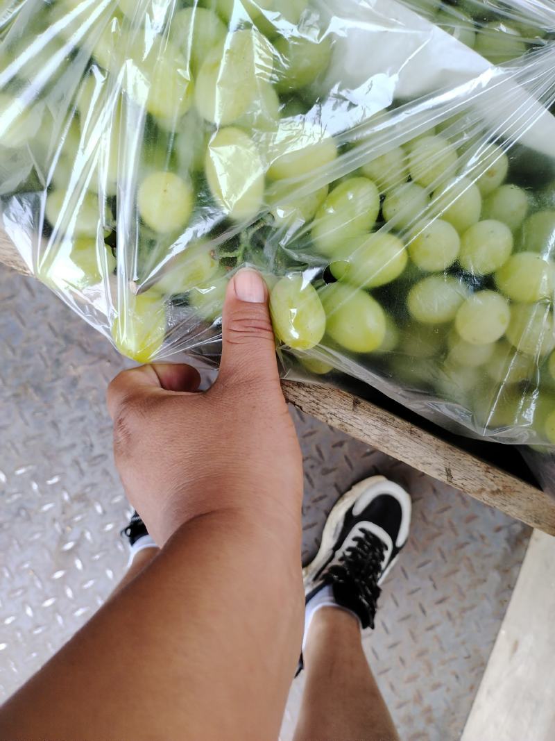 精品葡萄批发