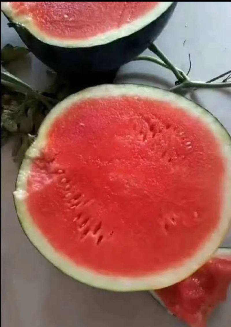 黑无籽西瓜