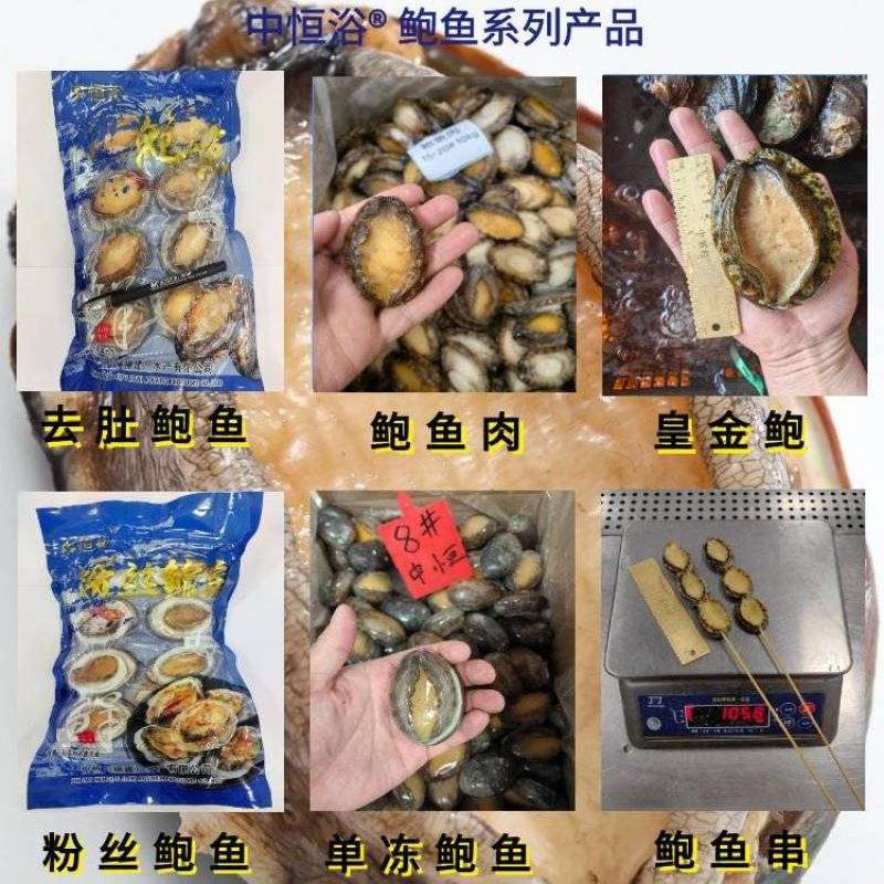 鲍鱼串鲍鱼串串鲍鱼批发鲍鱼肉全规格支持定制贴牌生产