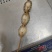 鲍鱼串鲍鱼串串鲍鱼批发鲍鱼肉全规格支持定制贴牌生产