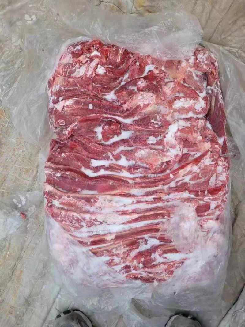 冷鲜冻马肉厂家直销，品质有保障，诚信经营，量大从优