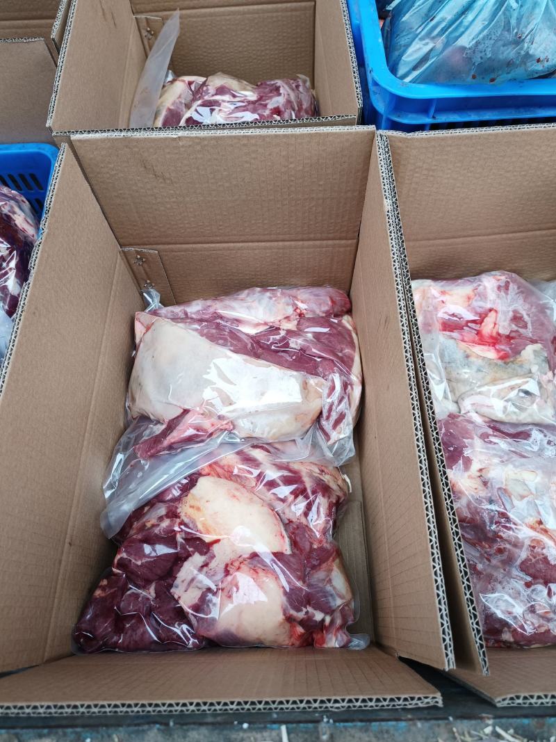 冷鲜冻马肉厂家直销，品质有保障，诚信经营，量大从优