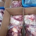 冷鲜冻马肉厂家直销，品质有保障，诚信经营，量大从优