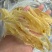 200头佐罗条花胶鱼胶