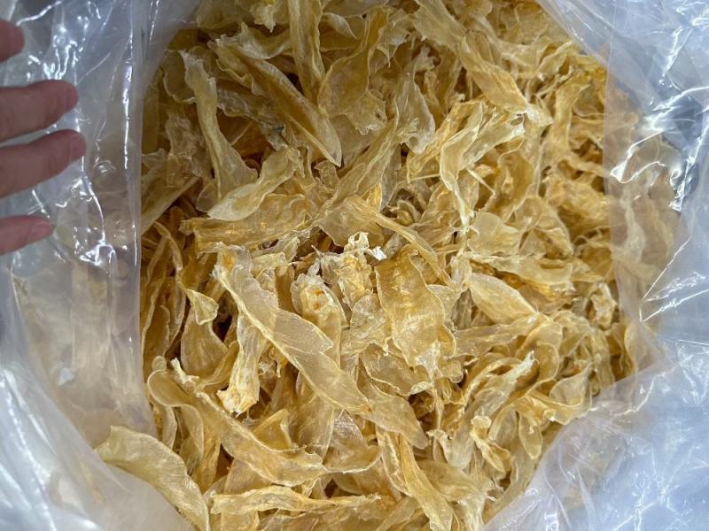 200头佐罗条花胶鱼胶