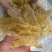 200头佐罗条花胶鱼胶