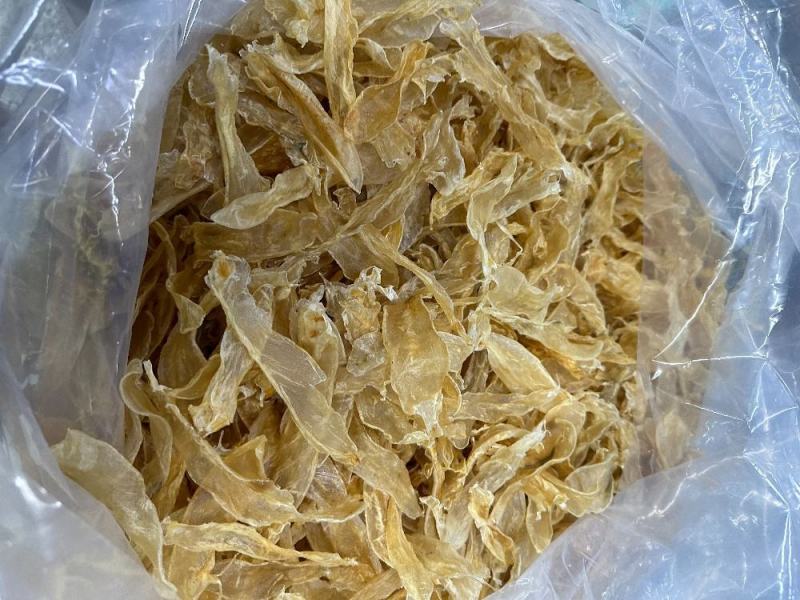 200头佐罗条花胶鱼胶