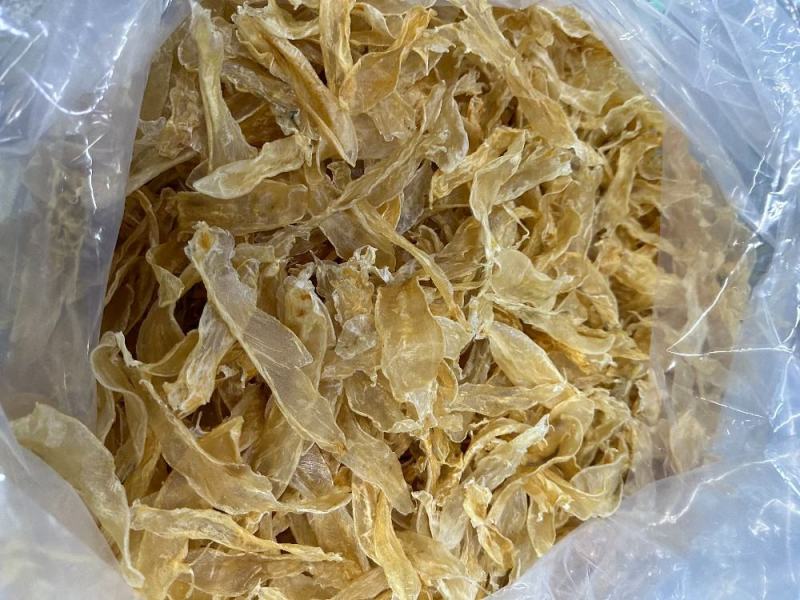 200头佐罗条花胶鱼胶