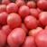 精品西红柿硬粉西红柿支持全国各地发货对接电商