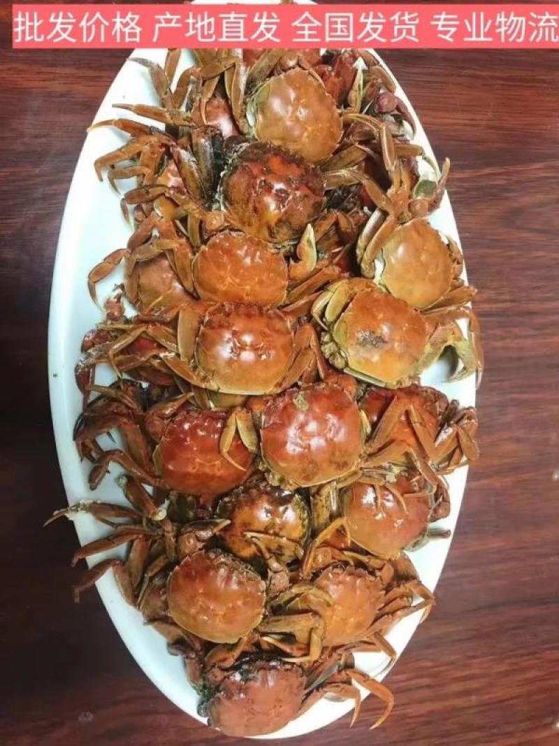 盘锦河蟹大量上市大一零质量保证辽宁产地直发