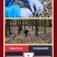 【荐】云南菌汤包产地工厂资质齐全可代工可贴牌可代发