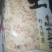 虾仁虾皮