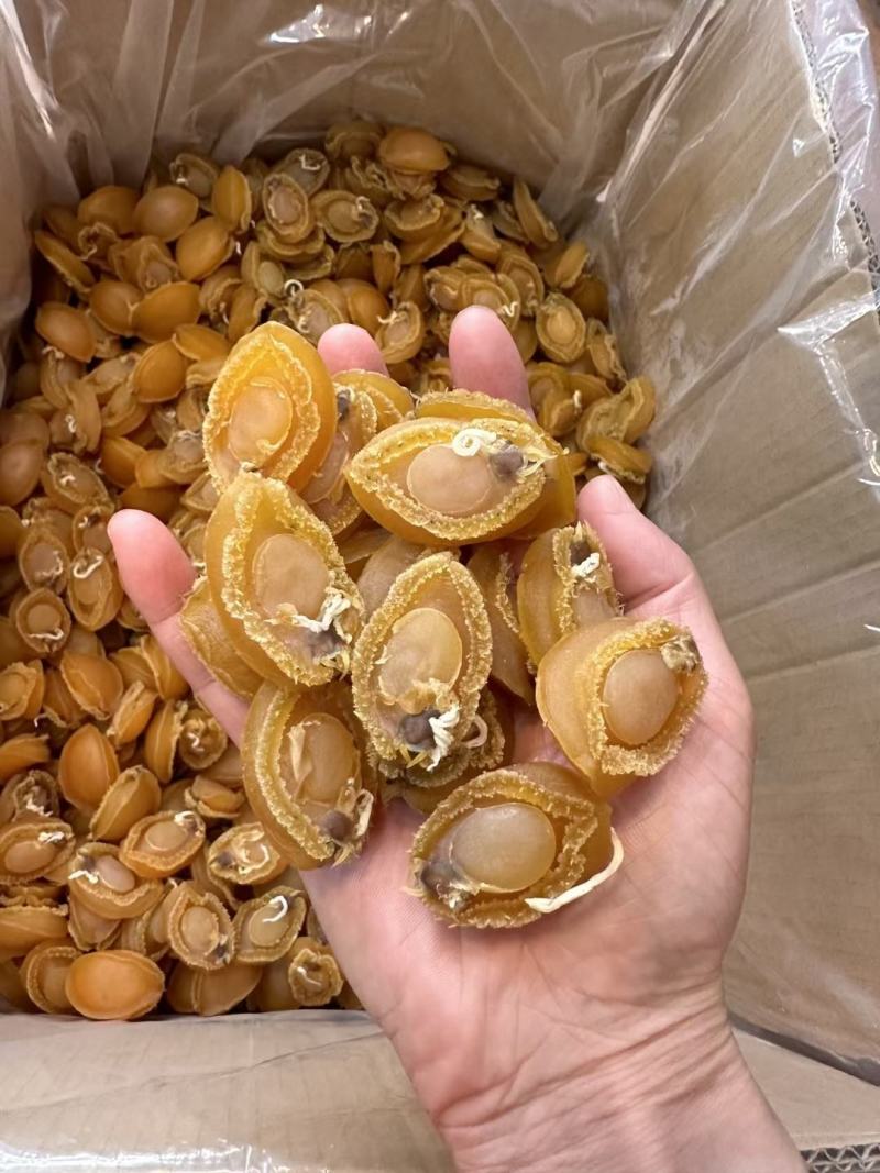 A厂50头大连鲍鱼干