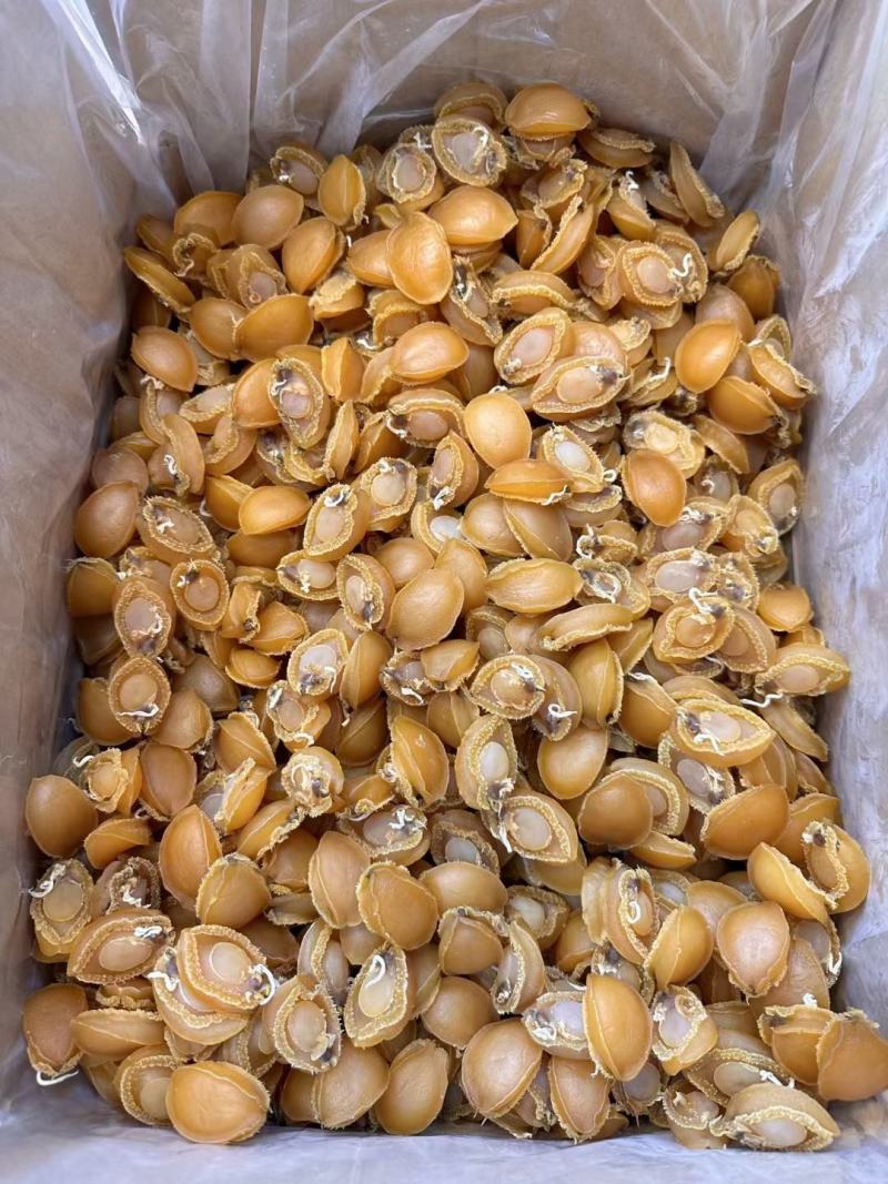 A厂50头大连鲍鱼干