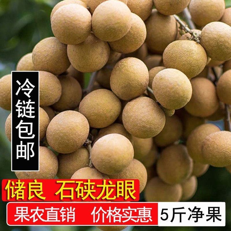石峡龙眼，储良龙眼电商一件代发，周期至中秋