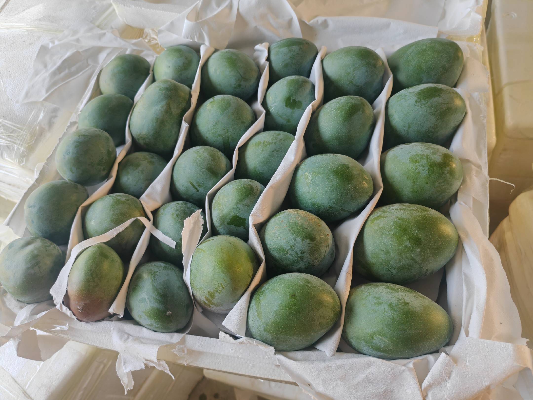 澳芒凯特芒果在水果店陈列场景