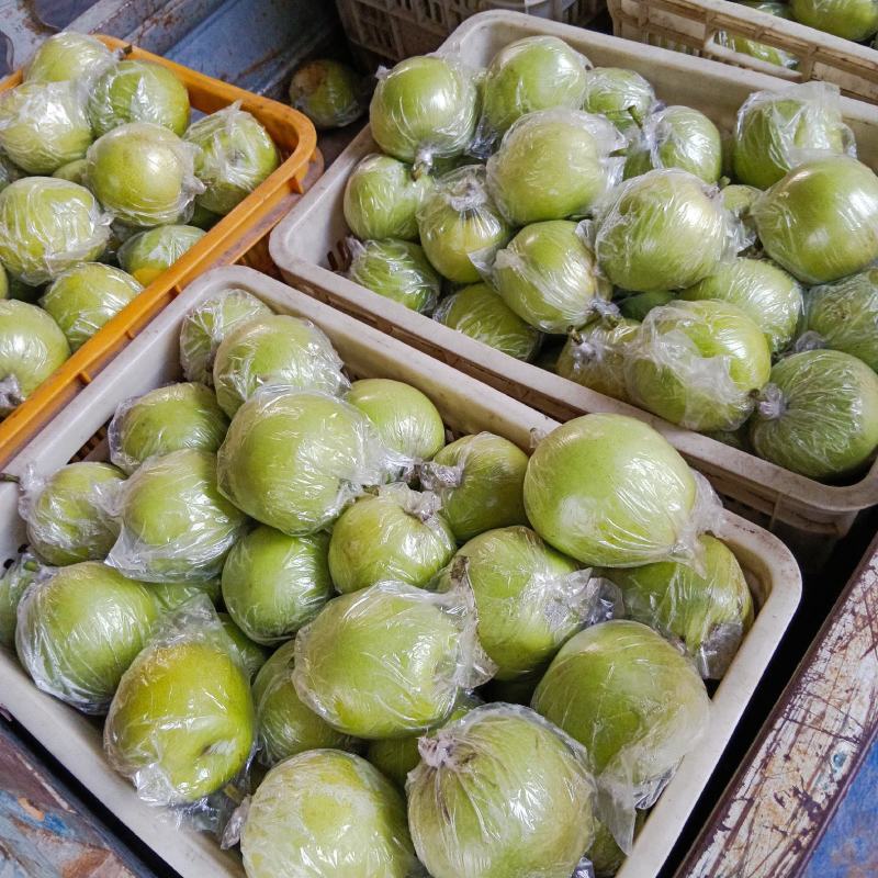 河北泊头膜袋皇冠梨大量上市货源充足可视频看货