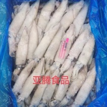 笔管鱼海兔籽乌