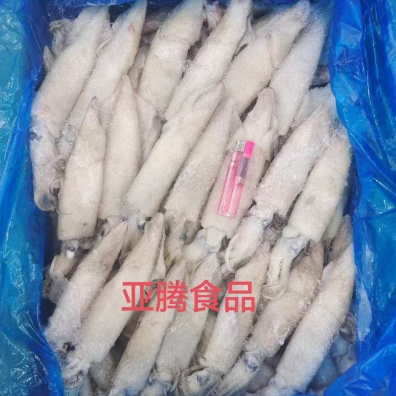 笔管鱼海兔籽乌