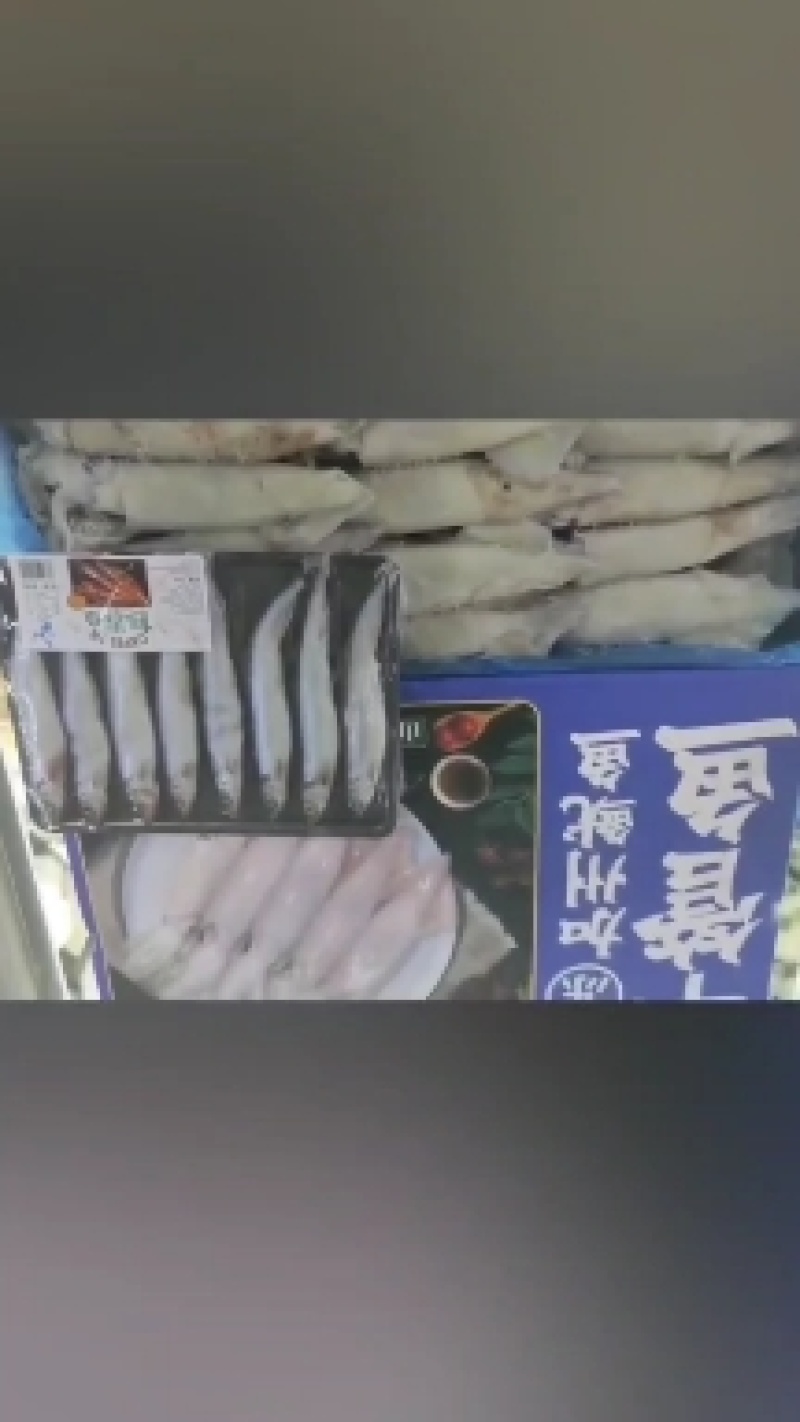 笔管鱼海兔籽乌