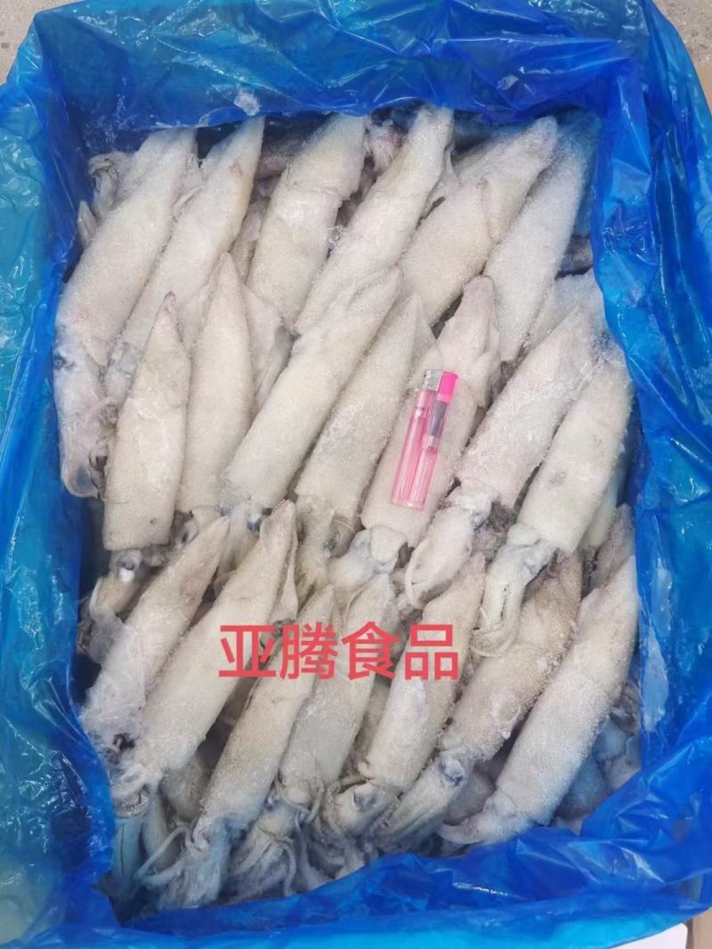 笔管鱼海兔籽乌