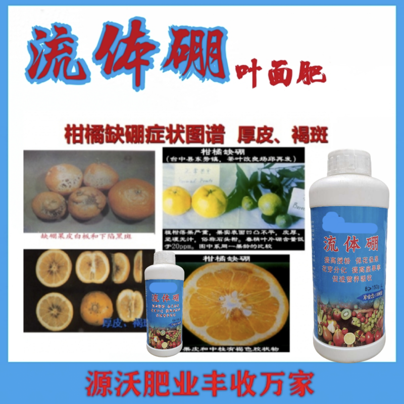 流体硼提高授粉保花保果促进花芽分化提高坐果率