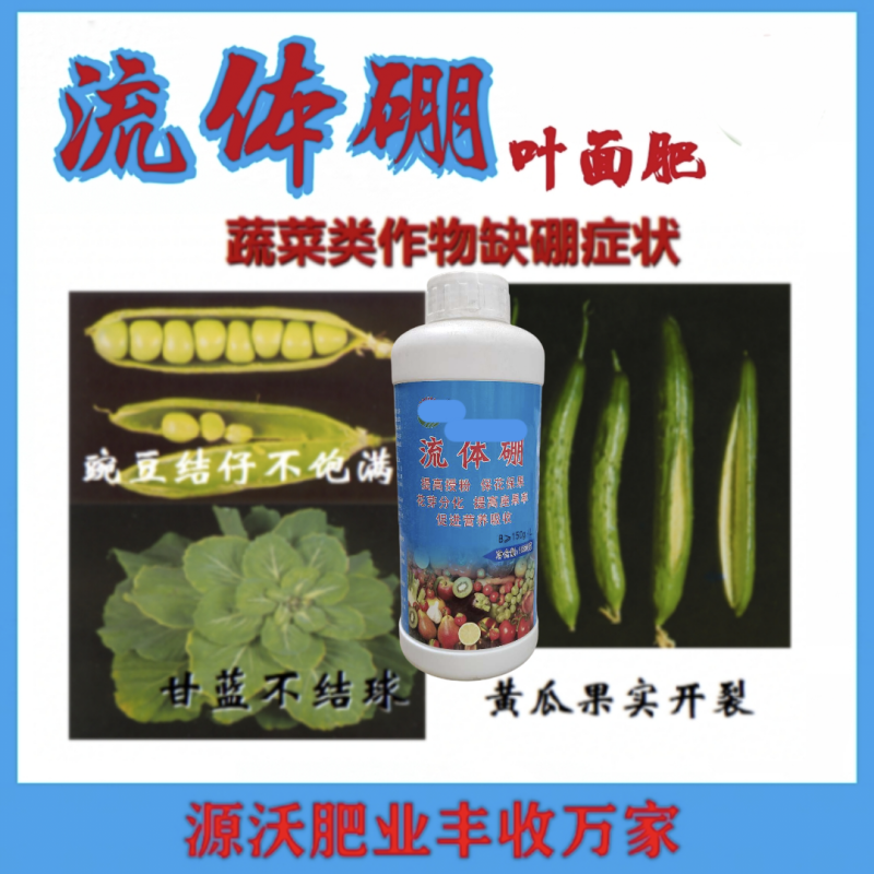 流体硼提高授粉保花保果促进花芽分化提高坐果率
