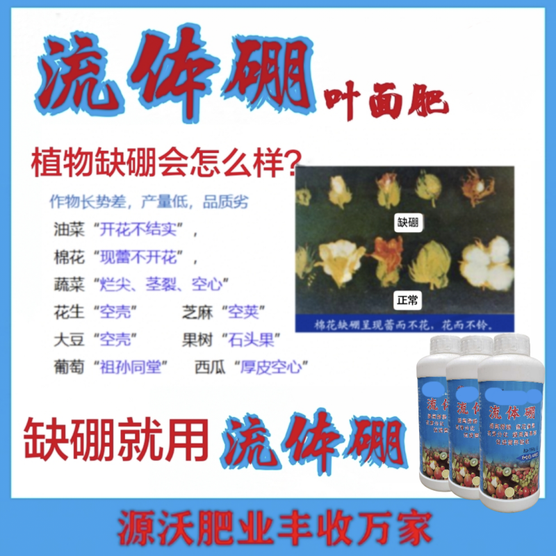 流体硼提高授粉保花保果促进花芽分化提高坐果率