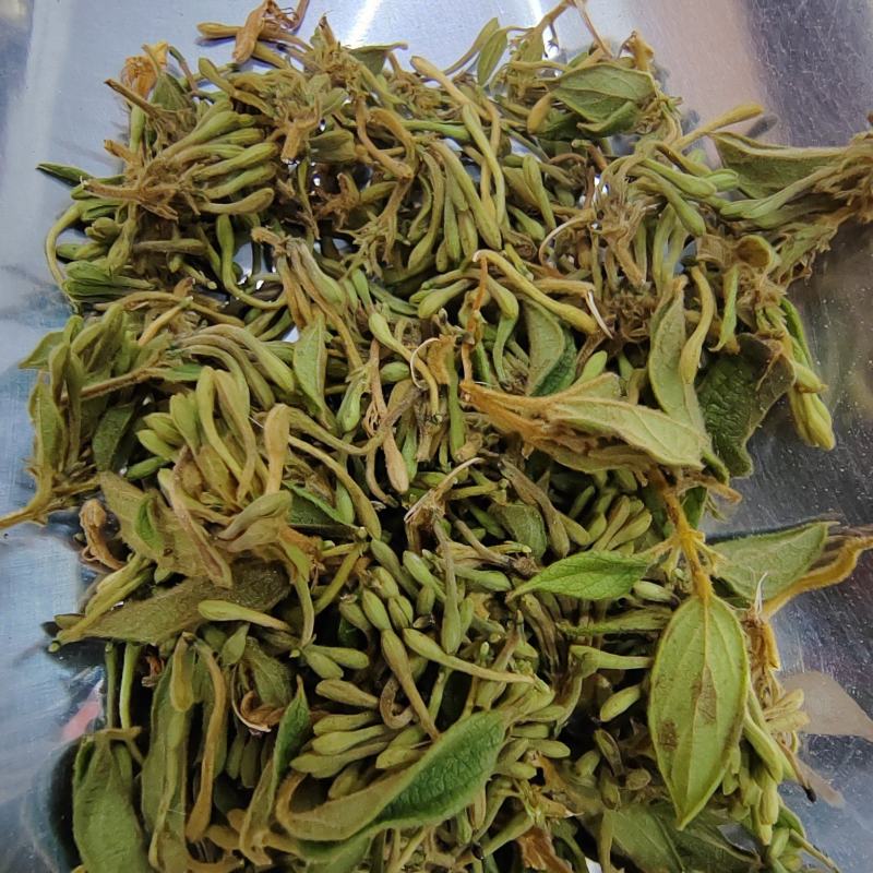 贵州金银花四季金银花产地批发货源稳定长期供货