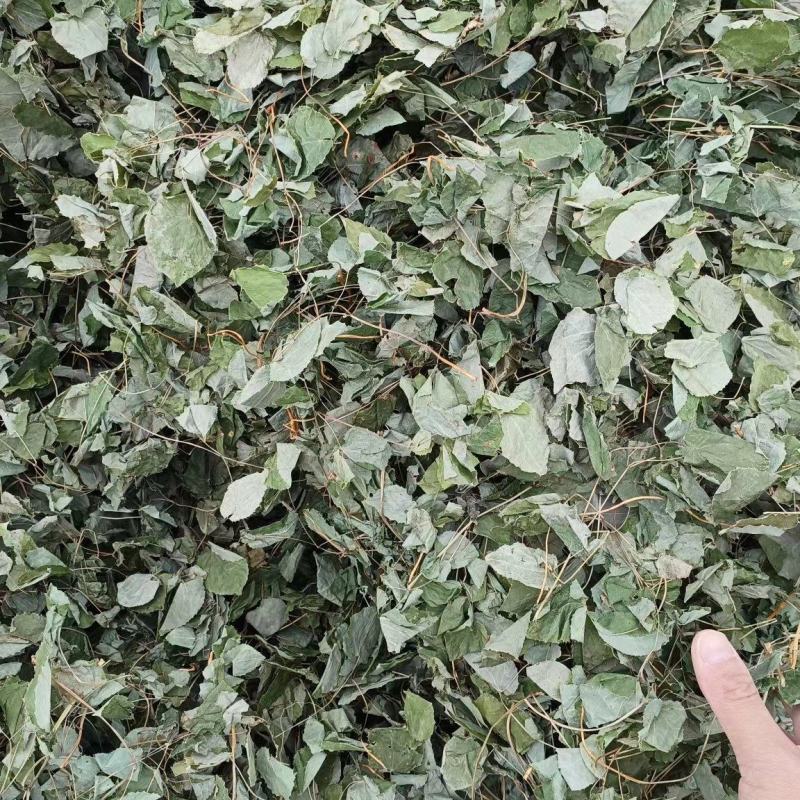 [推荐]甘肃陇南小圆叶纯净货淫羊藿产地直发