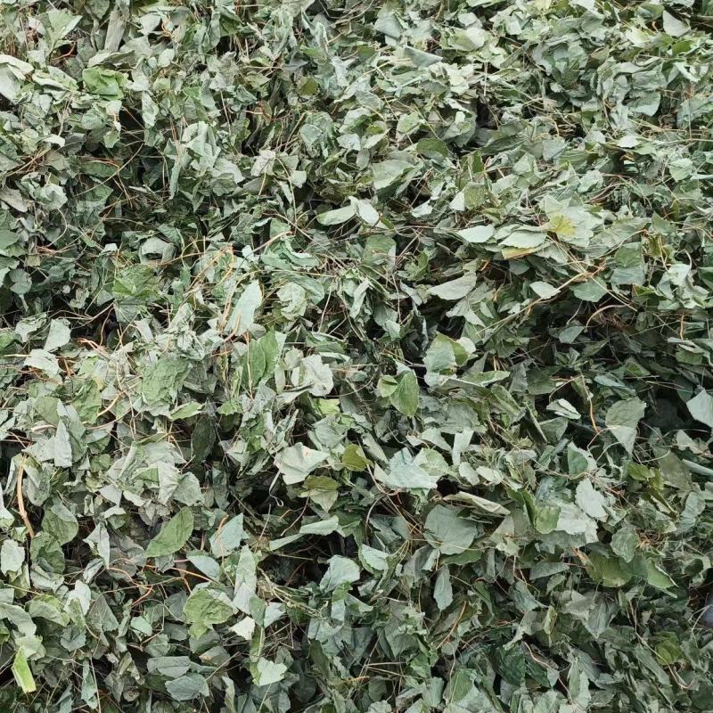 [推荐]甘肃陇南小圆叶纯净货淫羊藿产地直发