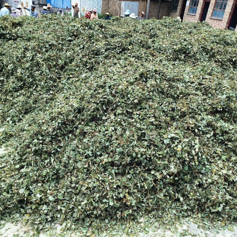 [推荐]甘肃陇南小圆叶纯净货淫羊藿产地直发