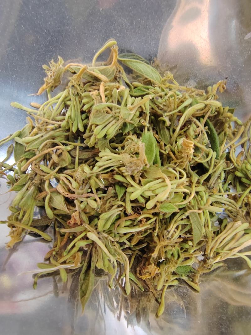 贵州金银花四季金银花产地批发货源稳定长期供货