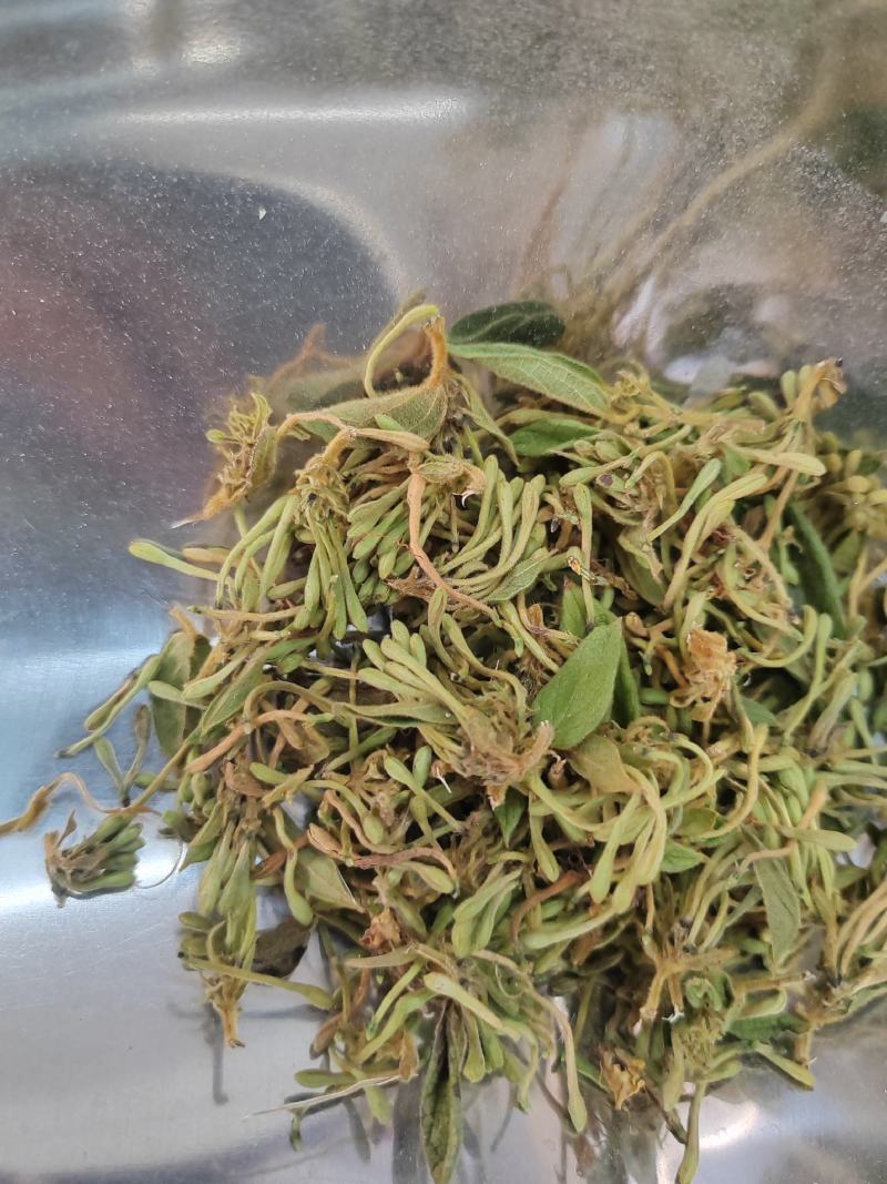 贵州金银花四季金银花产地批发货源稳定长期供货