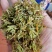 贵州金银花四季金银花产地批发货源稳定长期供货