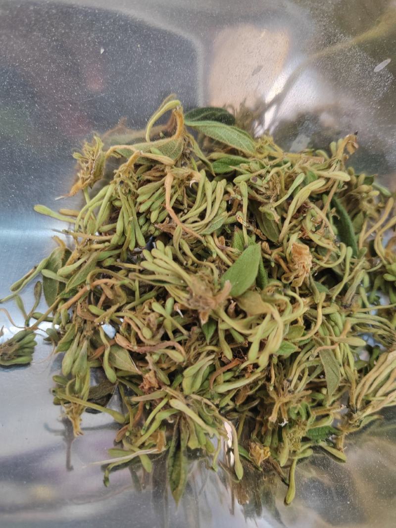 贵州金银花四季金银花产地批发货源稳定长期供货