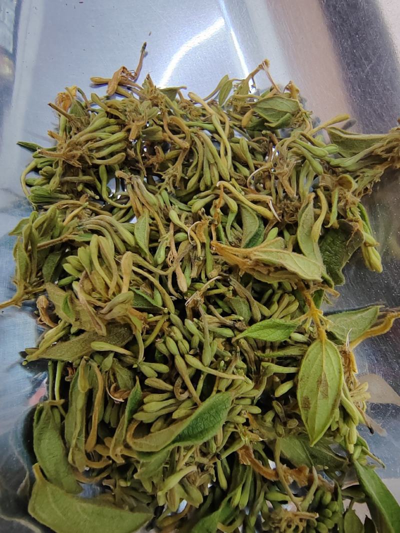 贵州金银花四季金银花产地批发货源稳定长期供货
