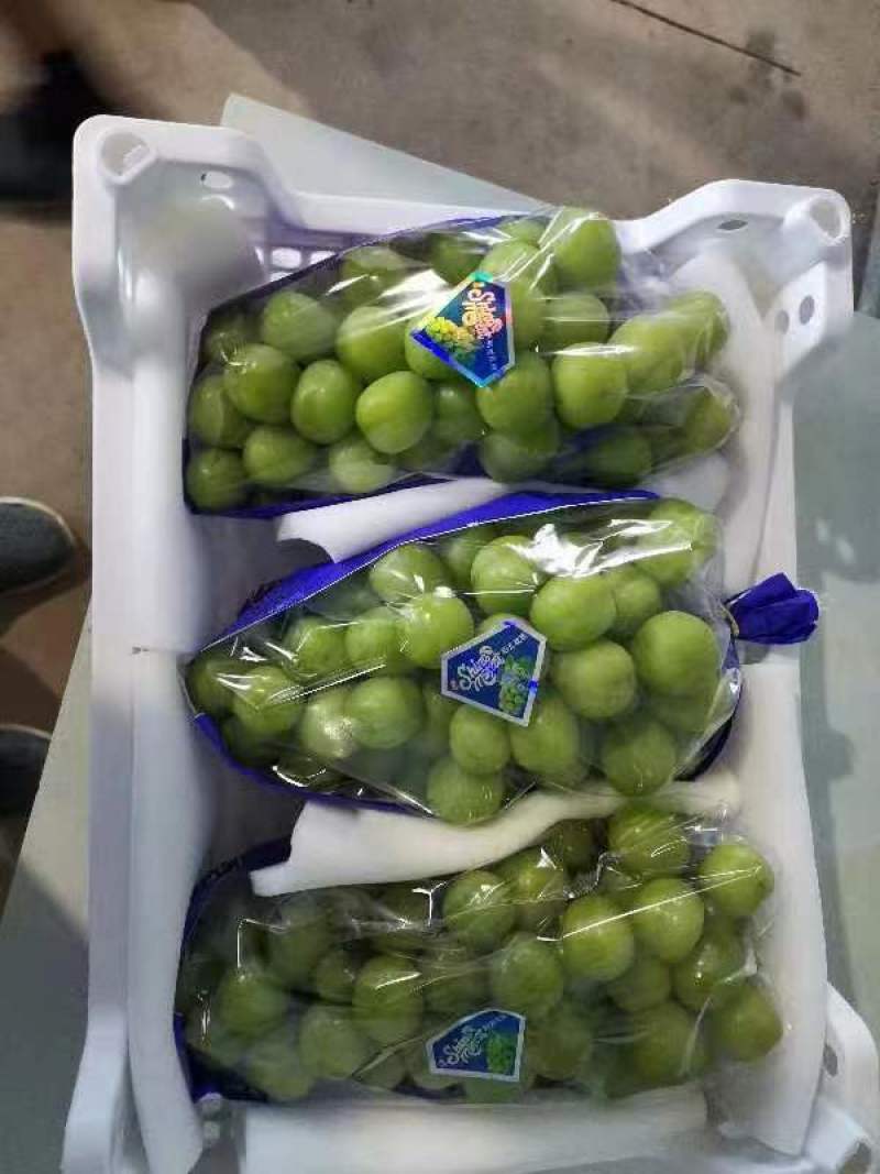 湖南常德葡萄源头产地