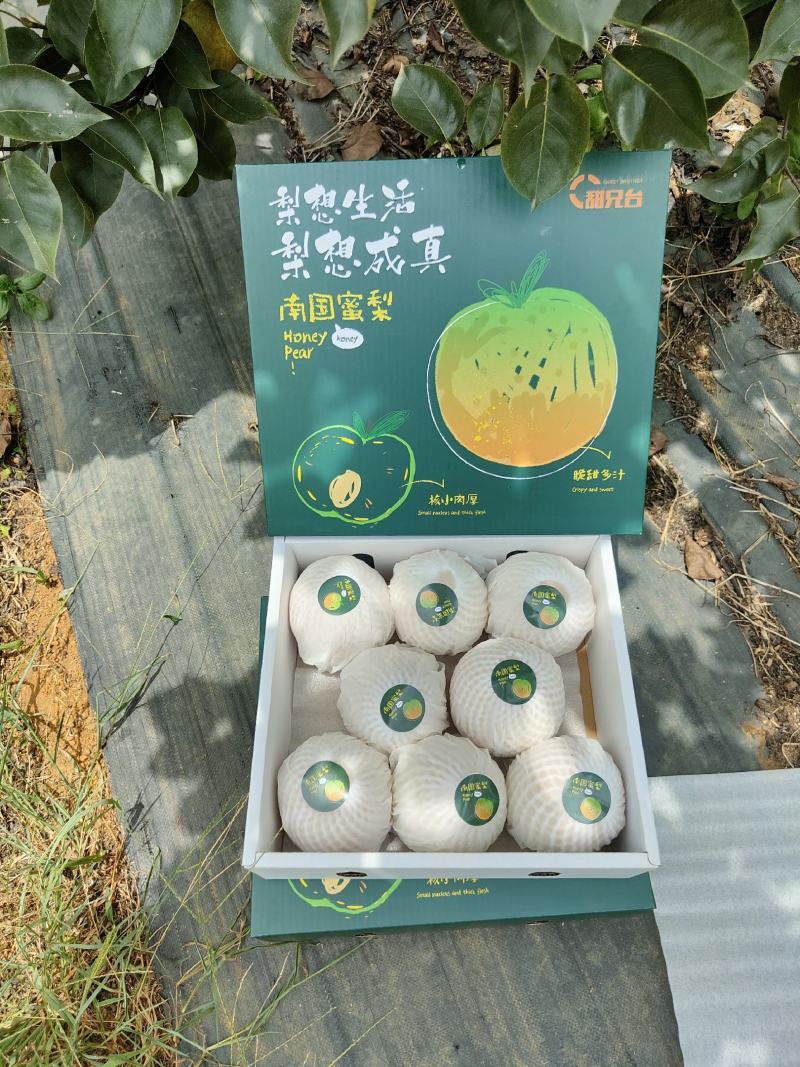 粤引早脆蜜梨，稀有新品种，脆甜多汁，清甜爽口，甜而不腻