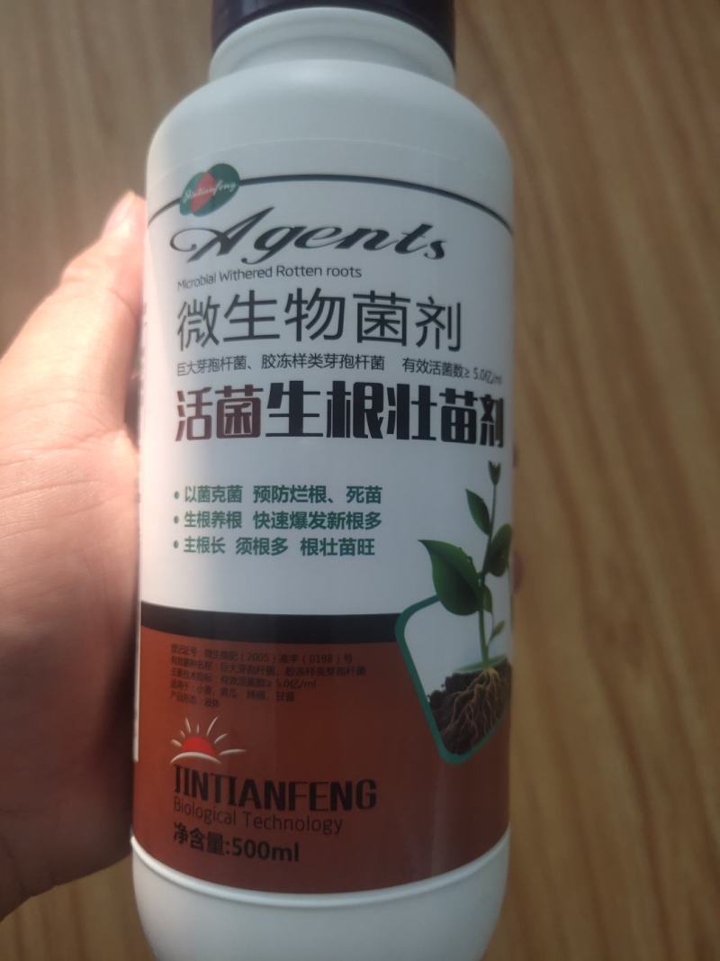 活菌生根壮苗剂生根剂壮秧扦插移栽促生长促生根抗病